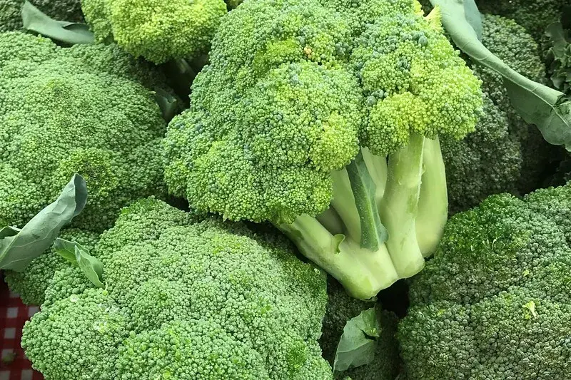 Broccoli