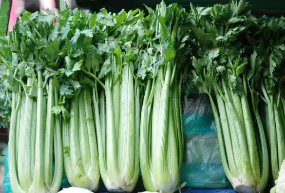 Celery