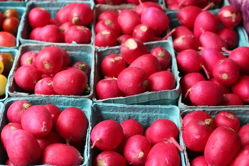 Radishes