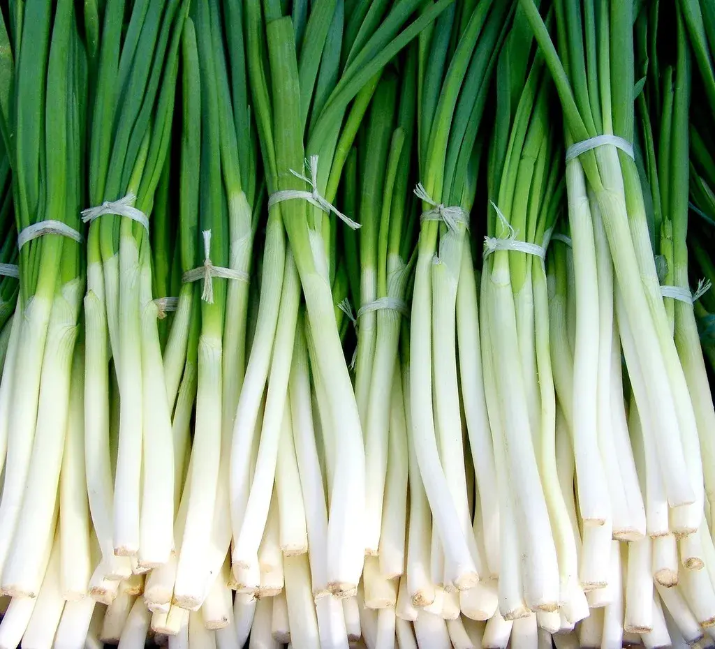 Scallions