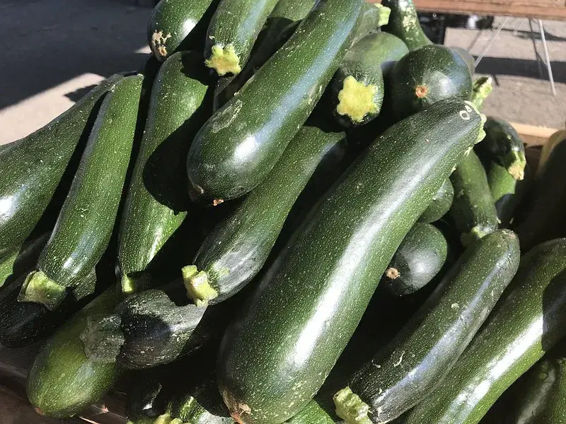Zucchini